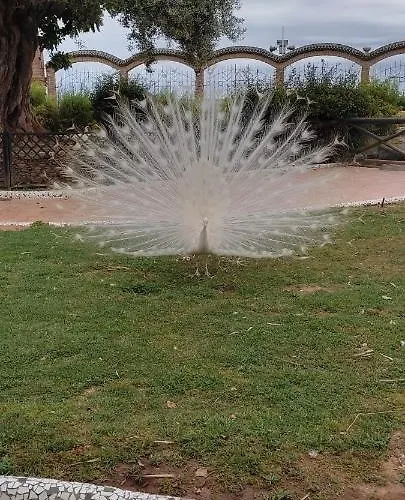 Apartamento Costa Marina 3