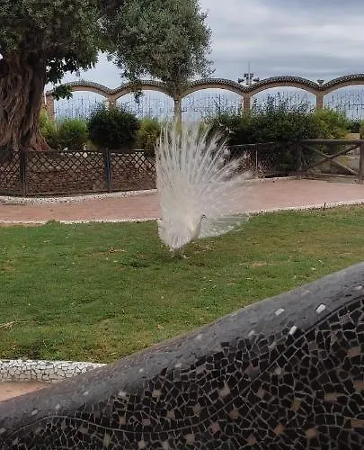 Apartamento Costa Marina 3