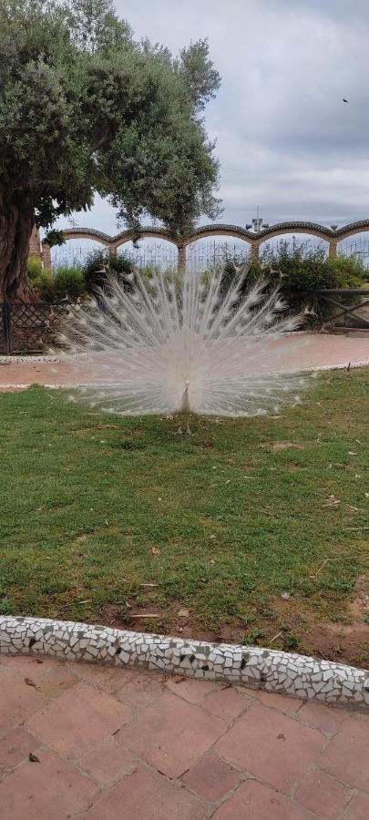 Costa Marina 3 * El Borseral